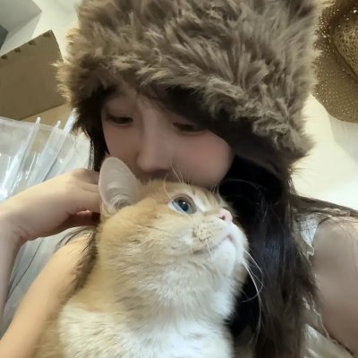三只流浪猫